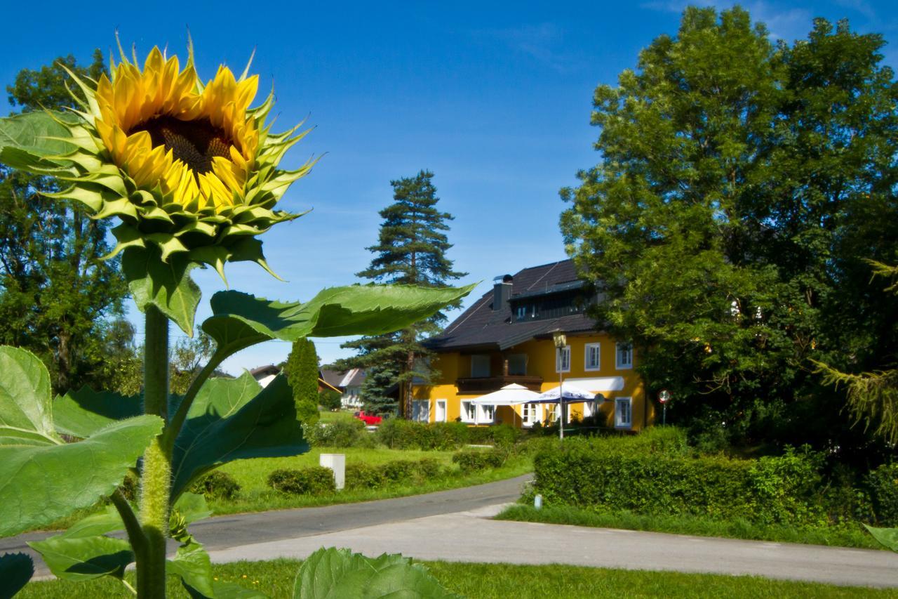 Landgasthof Zum Betenmacher Thalgau Esterno foto